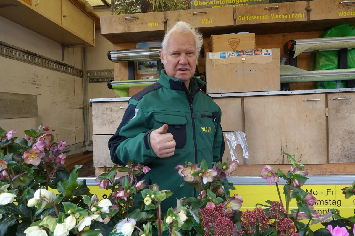 Impressionen Wochenmarkt Greifensee 2023